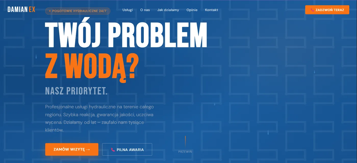 Damianex - nagłówek strony z pytaniem o problem z wodą i przyciskiem zadzwoń