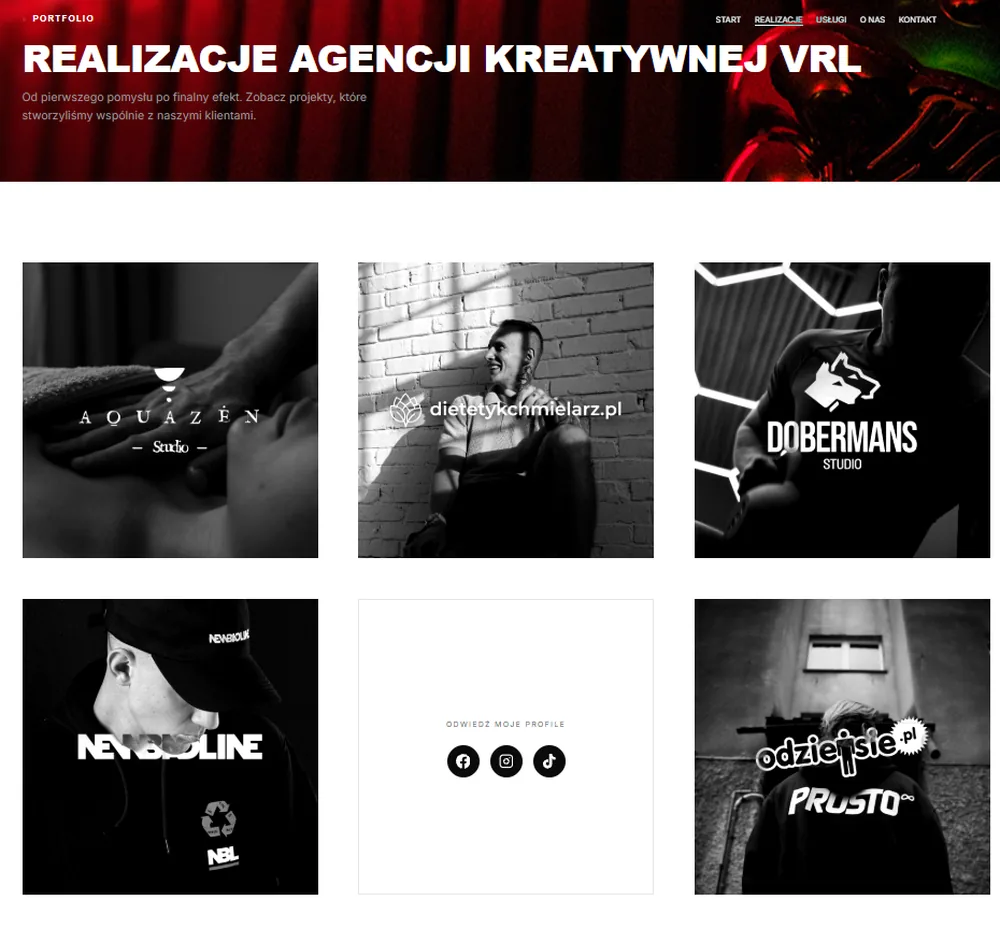 VRL - siatka portfolio z realizacjami Aquazen, Dobermans Studio i New Bad Line